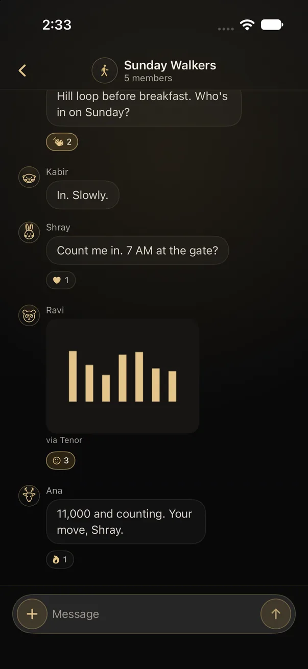 An Elyt group chat with messages, reactions and a GIF